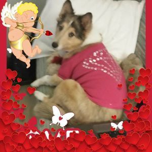 Meet your Posher, Hayley